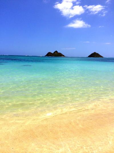 ■ハワイde誕生日 2014 【4日目】 トランプ/moke's/カイルア/ラニカイ/BLTステーキ