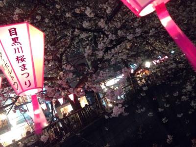 東京桜めぐり~2014~
