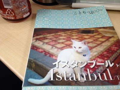 ハネムーン サントリーニ島～アテネ～カッパドキア～イスタンブール(13日間)【出国】