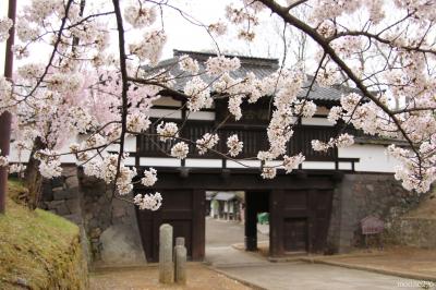 桜と温泉を楽しみに信州へ：（４）小諸　懐古園の桜まつりと街歩き