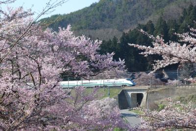 烏帽子山公園（山形県赤湯）の桜と鉄道の旅