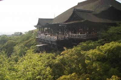 真夏の伏見稲荷と清水寺散策～清水寺→先斗町～