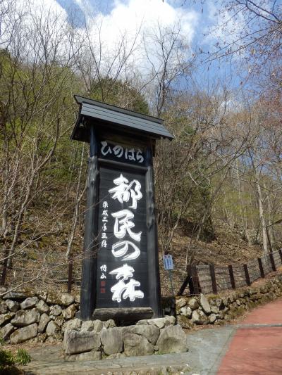 三頭山ハイキング　（森林館～大沢山～三頭山～鞘口峠～森林館）　ブナの見られる都民の森を一周♪