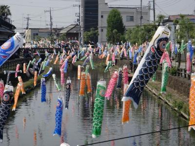 栃木市、うずまの鯉のぼり
