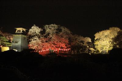 春の北陸、上信越旅行　その３（沼田城の夜桜）