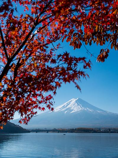 2013 富士河口湖紅葉まつり　久保田一竹美術館　で紅葉狩り