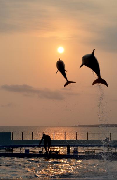沖縄ゆっくりドライブ 美ら海・本部・今帰仁