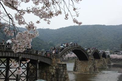 2014年春　桜の錦帯橋