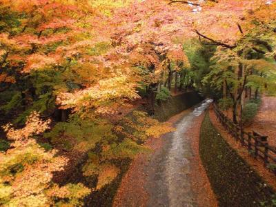 京都・奈良（一日目）