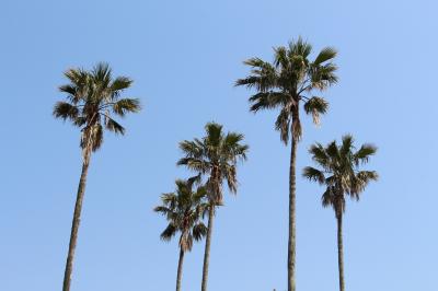 GW　初夏の初島と伊東温泉