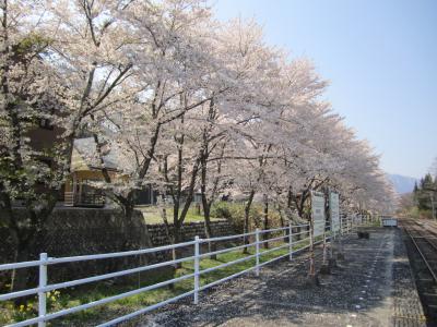 桜吹雪の神岡レールマウンテンバイク　往路