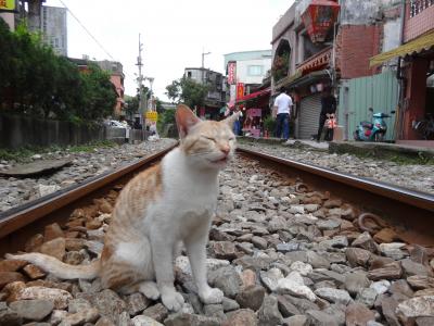 思い立ったが大して台湾吉日ではなかった(2日目十分)
