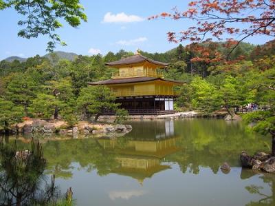 【 2014年 京都花めぐり 】