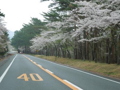 温泉放浪：富士鳴沢へ　一風呂浴びに行きました