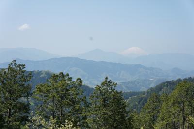 久々の高尾登山