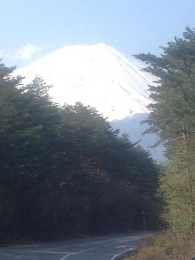 中央道~高速道からの富士山