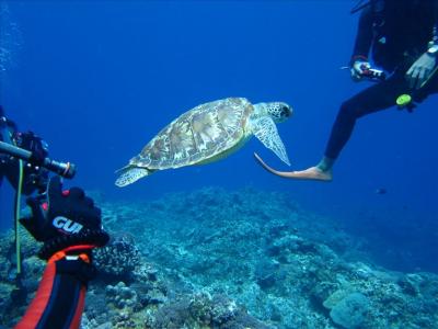 沖縄・慶良間の海を潜る 0・・旅いつまでも・・