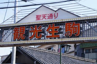 春のさくら見物…気が狂うほどさくらが見たいんだも～ん♪宝山寺生駒聖天さんへのお願い事は商売繁盛で決まり！！オマケは信貴山朝護孫寺の夜景♪