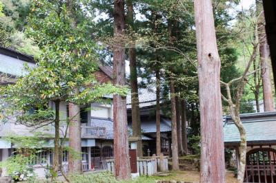 富山・石川・福井の旅　　 福井の巻