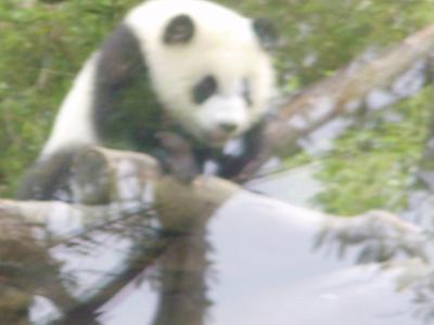 2014年4月☆11回目の台湾（淡水・動物園・台南）2日目前半