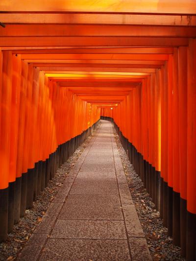 GWの京都旅行~平等院と伏見稲荷へ~