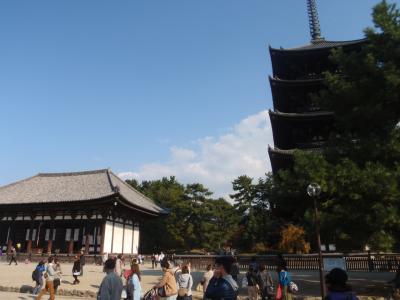 2013奈良へ行く～その２（興福寺）～