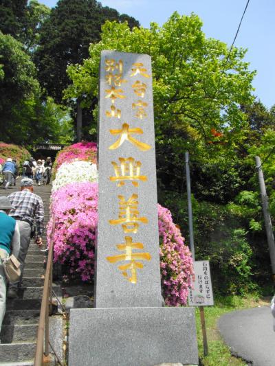  佐賀県基山の大興善寺（つつじ寺）へ行ってきました。