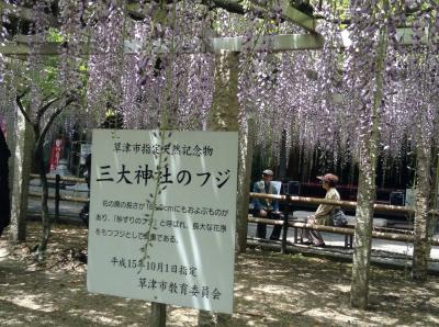 三大神社の藤棚、芦浦観音寺、矢橋帰帆島で家族団欒。春の滋賀県旅記録。