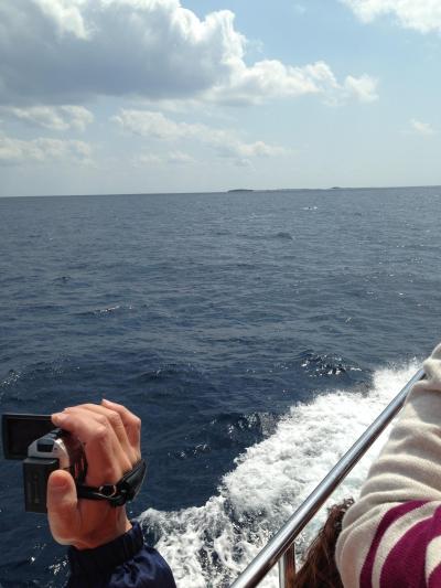 初めて、春の沖縄