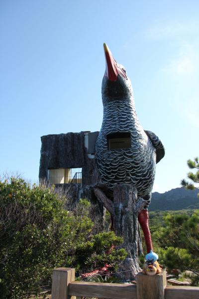 2013年8月沖縄旅行③「大石林山。ヤンバルクイナを目指して」