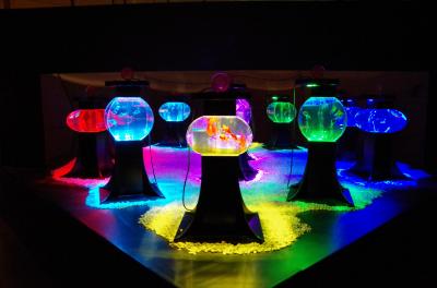 名古屋アートアクアリウム