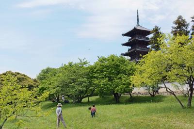 吉備路散策　新緑の吉備路をサイクリングでヤッホ～！