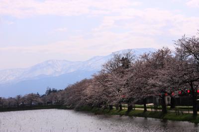 青春18切符一人旅　開府400年高田の城下町巡り　雁木～町家～高田公園の花見でほっこり♪