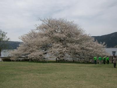 箱根園