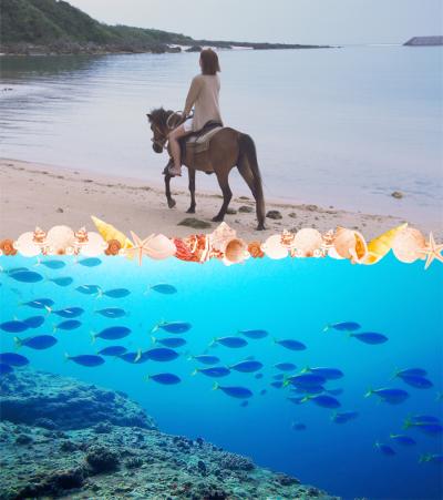 与那国島に行ってきた