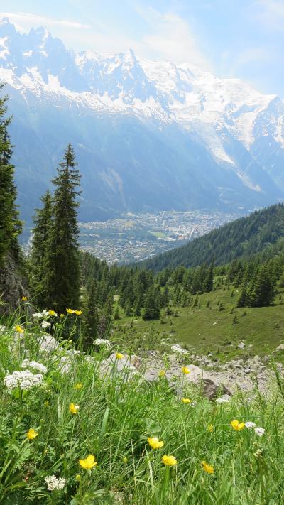 スイス＆フレンチアルプスを眺める旅 2013 （4）