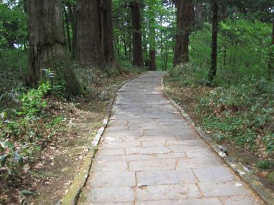 20数年ぶり、羽黒山の石段のぼり