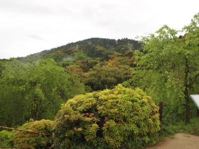 雨だけどあえての三輪山登拝