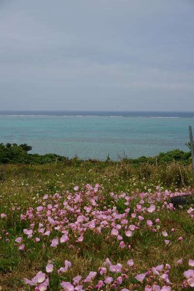 初離島!!２泊３日八重山旅行～3日目～