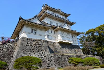 （思いがけず）早春の相模路をぶらりゆく旅【３】～関東の覇者・北条氏５代の居城　小田原城登城記～