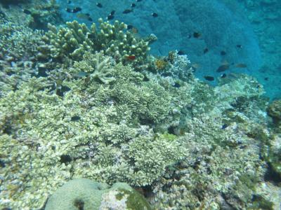 一足お先に夏休みいただきます！