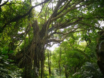 '14GW沖縄の旅③ はじみてぃやーさい♪沖縄