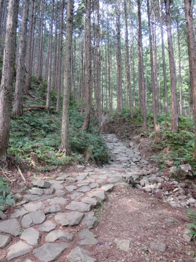 熊野古道～ツヅラト峠