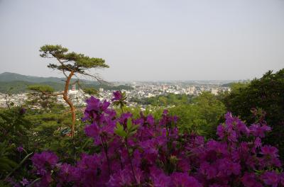 2014 栃木県　足利市　～織姫公園のつつじと織姫神社～