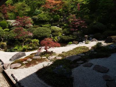 普済寺(2)（新潟県村上市大場沢）