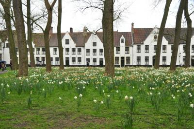 しっとり　春のヨーロッパを楽しもう！　７．ブルージュで中世に思いを馳せる