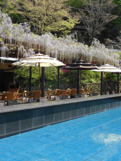 東府や　Resort＆Spa-Izu　ヴィラスイートで寛ぐ春うららかな休日（３）　　
