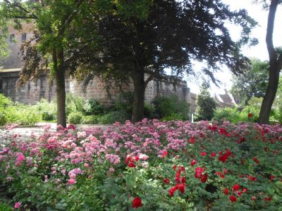 バラの咲くカイザーブルク城と職人広場（2013年ヨーロッパ周遊　ニュルンベルク編　2日目）