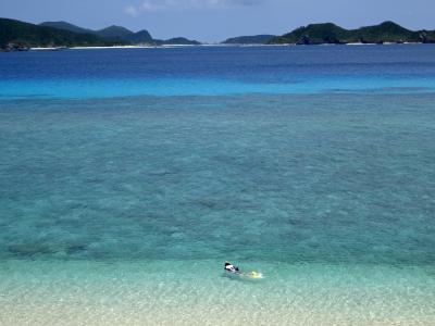 “世界が恋する海”で初泳ぎさぁぁ♪ ～おめでとう！国立公園指定 ☆ 慶良間諸島・阿嘉島 