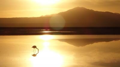 Atacama Desert - family trip